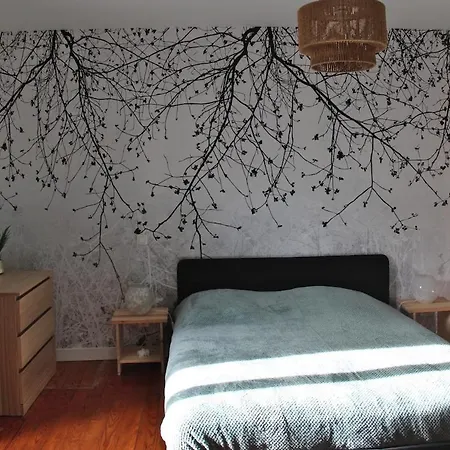 Hébergement de vacances Maison Saint Lary 2 *